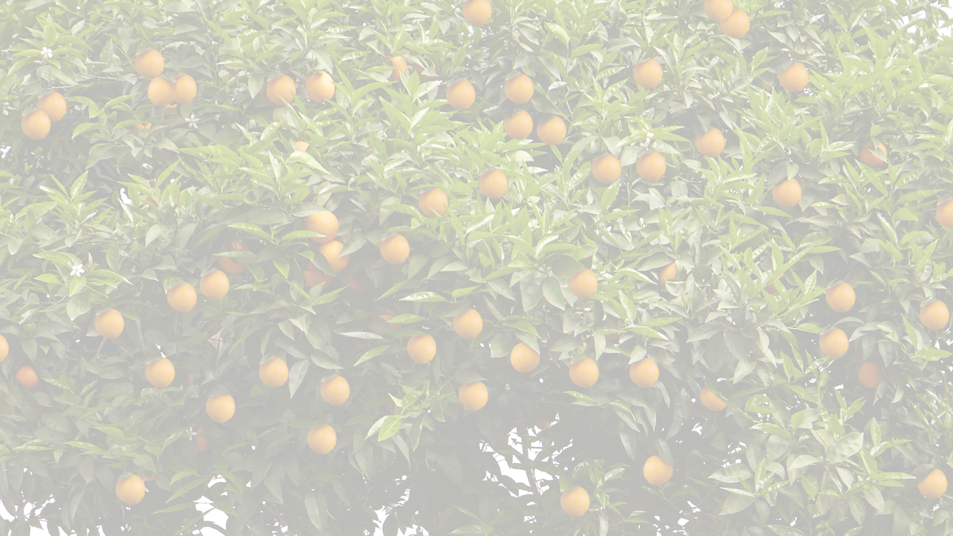 דרושים לחברת תפוז שליחויות